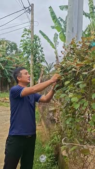 Đất nền An Phú Quảng Ngãi 100m² giá 590 triệu - Đầu tư sinh lời ngay!