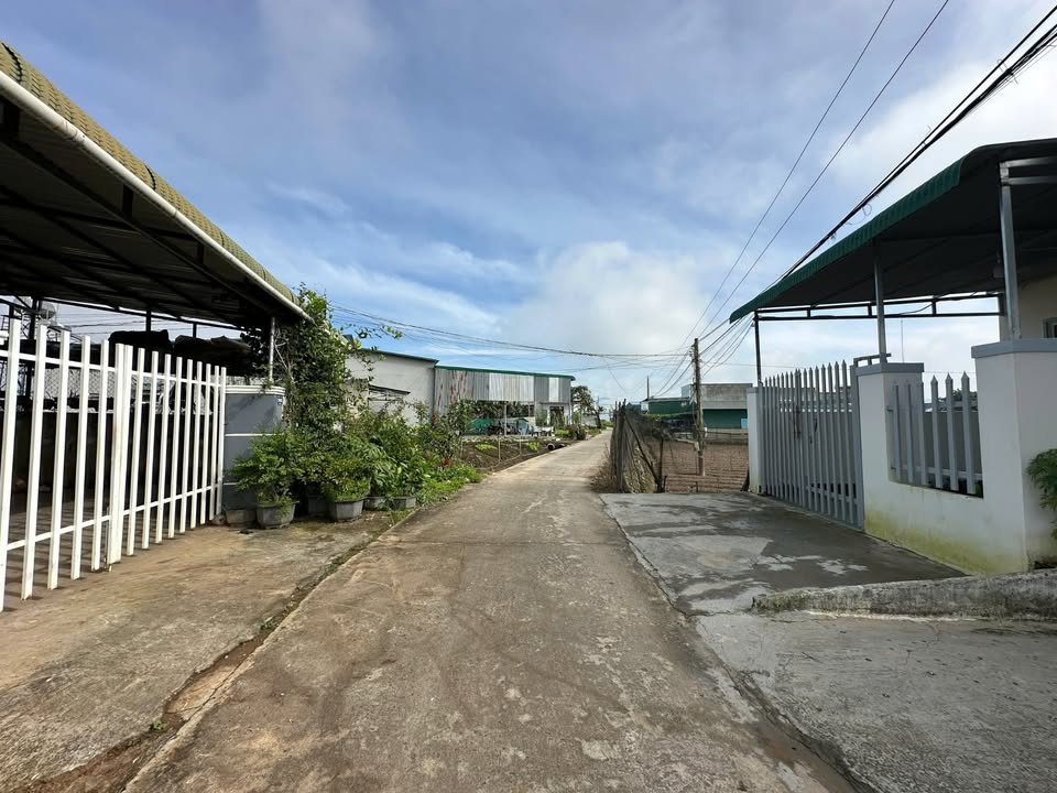 Đất Phú Hội 130m² giá 800 triệu - Đường ô tô vào tận nơi!