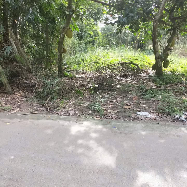 Bán đất Minh Thạnh - Dầu Tiếng 100m² giá 400 triệu - Vị trí tiềm năng cho đầu tư!