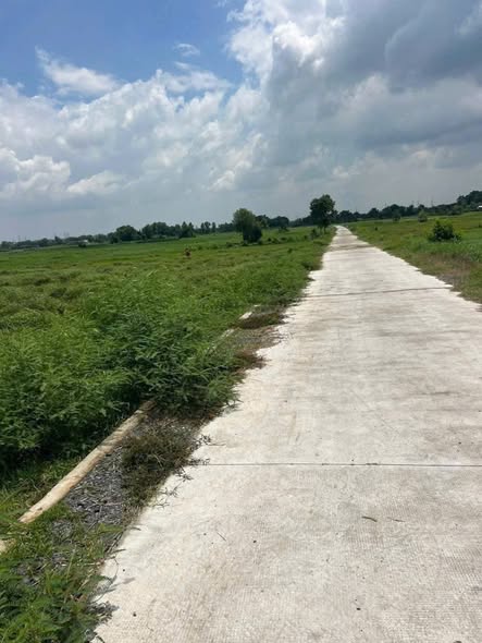 Lô đất lớn 18.587m² tại xã Trung An, Củ Chi - Giá đầu tư chỉ 65 tỷ!