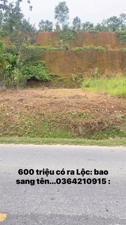 Đất nền Phong Hải, Bảo Thắng, Lào Cai 238m² giá 600 triệu - Cơ hội đầu tư tốt!