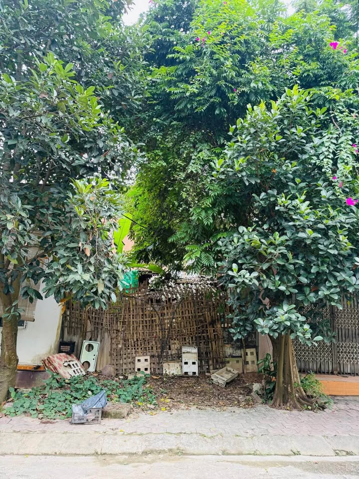 Đất nền Duyên Hải Lào Cai 100m² giá 1.7 tỷ - Phù hợp kinh doanh cửa khẩu