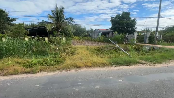 Đất thổ cư 980m² tại Ấp Cầu Tân Phong, Tân Biên - Giá chỉ 1.05 tỷ VND