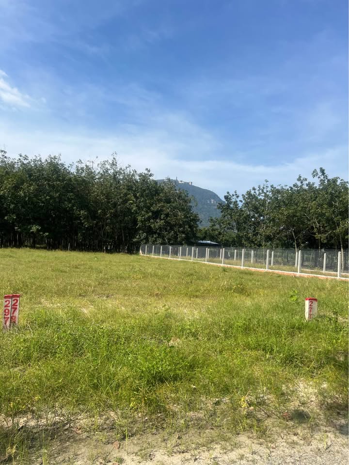 Đất thổ cư Ninh Thạnh, Tây Ninh 210m² giá chỉ 340 triệu - Cơ hội đầu tư tuyệt vời!