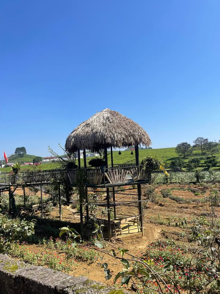 Đất nền Vân Sơn Mộc Châu 252m² giá 2 tỷ - Gần cao tốc, view hồ thoáng đãng!