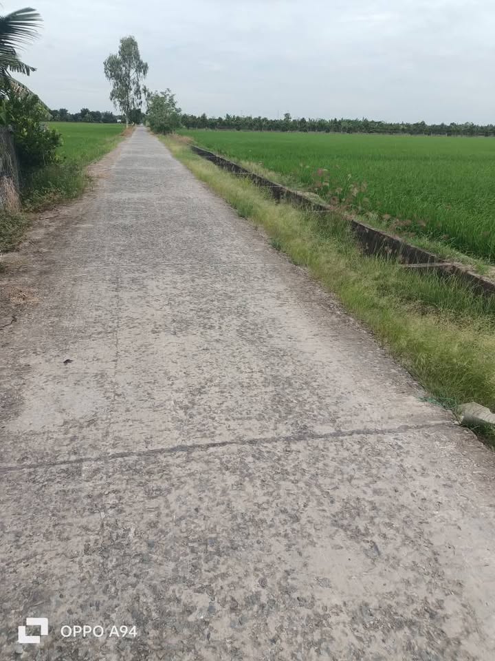 Đất nền Mỹ Đông 1260m² giá chỉ 370 triệu - Cơ hội đầu tư tuyệt vời!