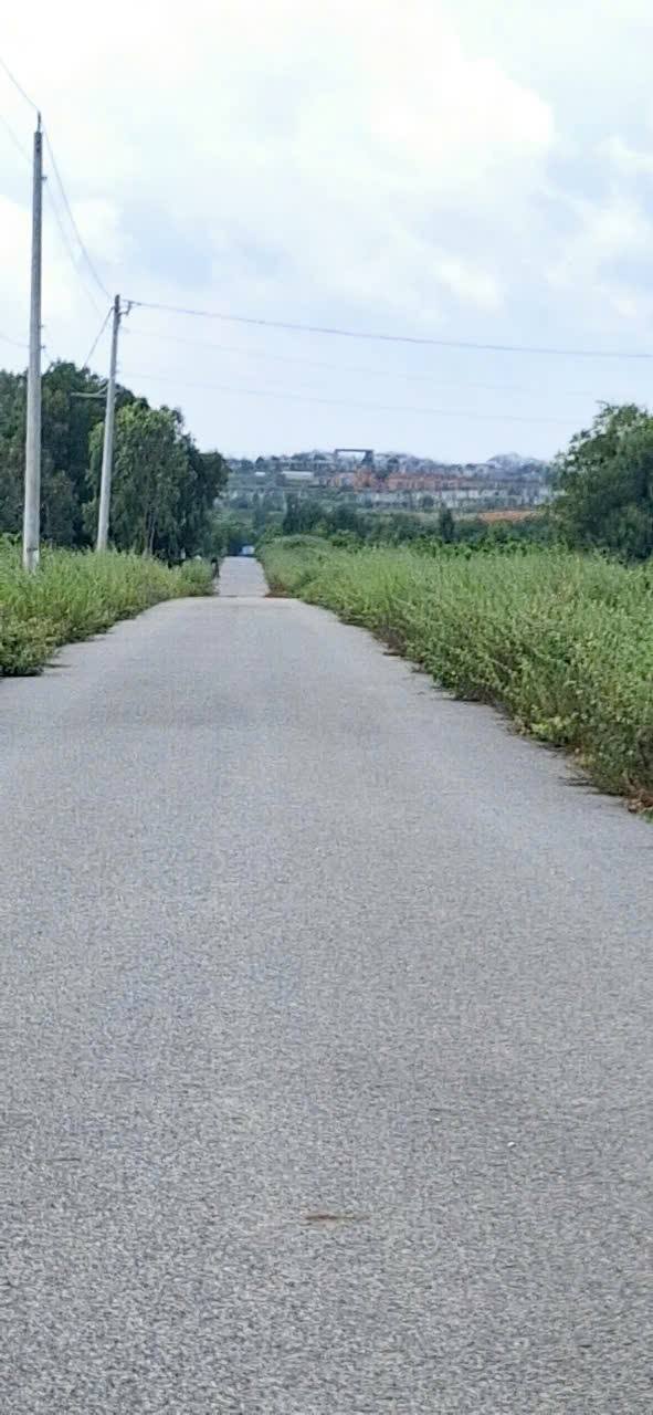 Đất nền Tiến Thành, Phan Thiết 22,000m² - Mặt tiền rộng 130m, Giá thỏa thuận hấp dẫn!