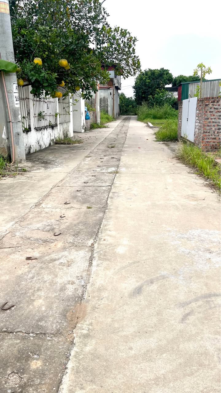 Lô đất Quang Minh, Mê Linh 68m² giá chỉ từ 4x triệu - Đầu tư sinh lời!