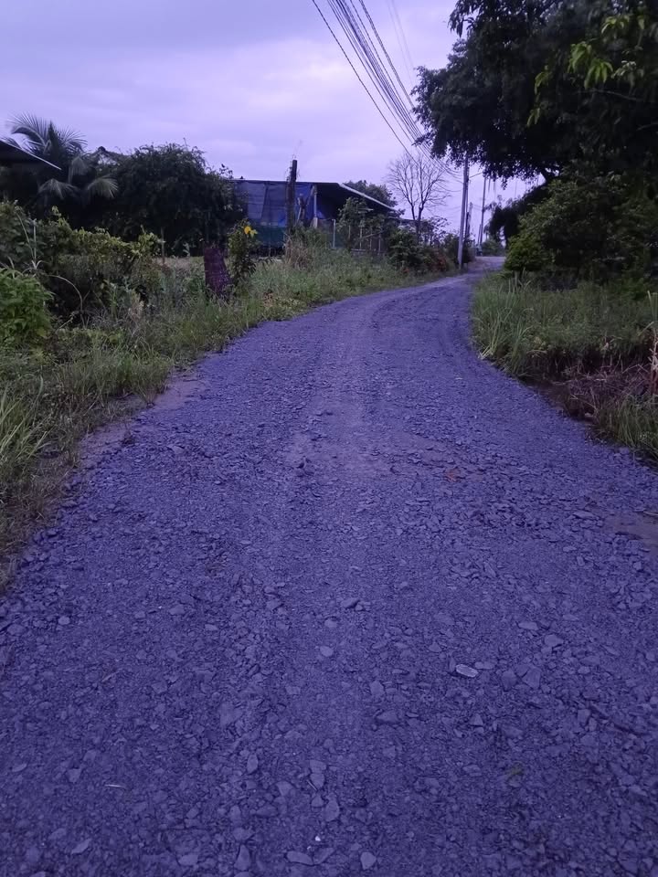 Đất nền 194.25m² tại Mỹ Thạnh Đông, Đức Huệ - Giá chỉ 350 triệu, cơ hội đầu tư tốt!