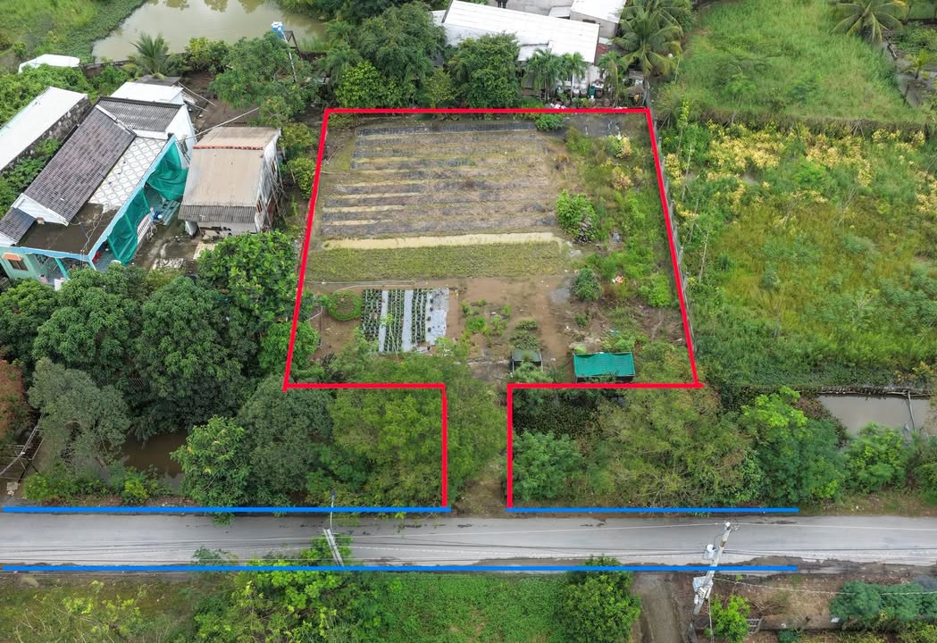 Đất nền đẹp tại xã Mỹ Lộc, Cần Giuộc 1019m² - Đầu tư lý tưởng!