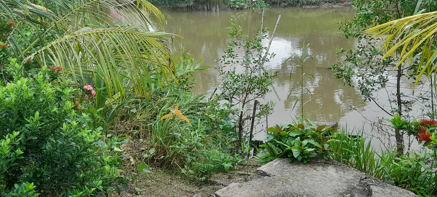 Đất nền Tân Quy Tây 250m² - Gần sông, giao thông thuận lợi!