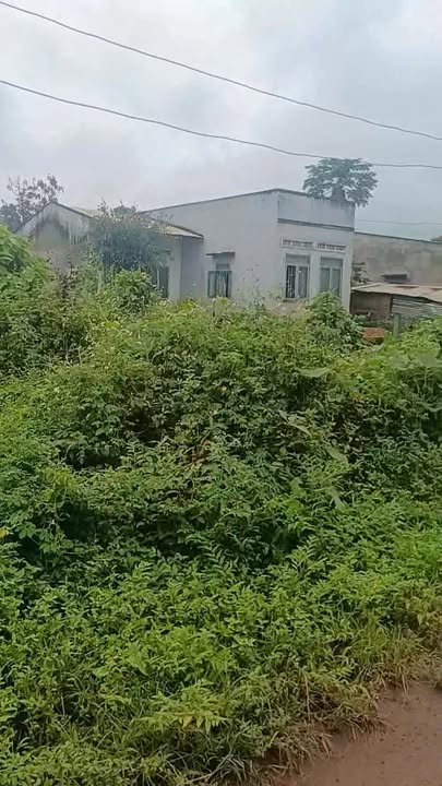 Đất nền Đăk Đoa, Gia Lai 1166m² giá chỉ 2.2 tỷ - Cơ hội đầu tư tuyệt vời!