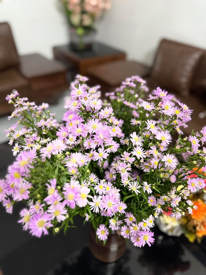 Đất Nam Viên, Xuân Viên, Nghi Xuân 247m² giá 1.7 tỷ - Vị trí đắc địa gần bệnh viện!