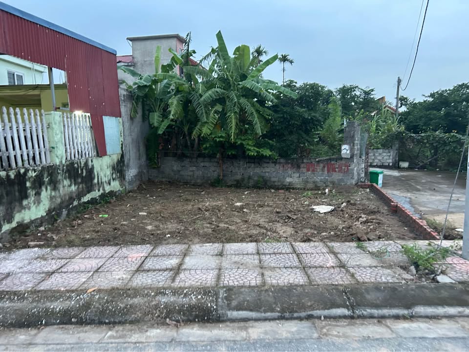 Lô đất mặt đường Cẩm La, Thanh Sơn, Kiến Thụy 66.8m² giá 1.7 tỷ - Cơ hội đầu tư lý tưởng!