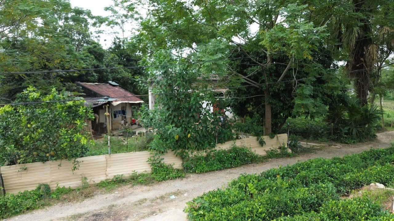 Farm 4000m² tại xã Vô Tranh, Phú Lương, Thái Nguyên giá 1 tỷ - Đầu tư sinh lời hấp dẫn!
