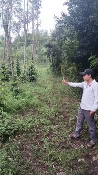 Đất nền Bình Trung 7.700m² giá chỉ 642 triệu - Đường nhựa tới nơi