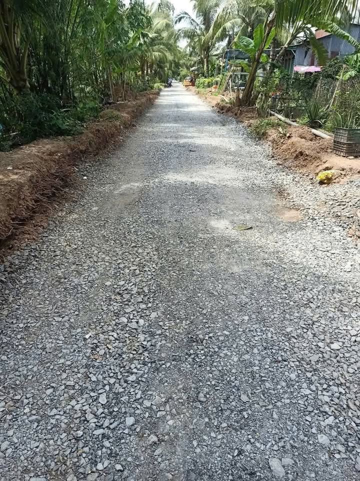 Đất thổ cư xã Bình Thành, huyện Thanh Bình 240m² giá 420 triệu - Vị trí đẹp, giao thông thuận lợi!