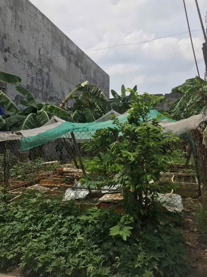 Đất Phước Tân Biên Hòa 88m² giá 1 tỷ - Sổ đỏ chính chủ, thuận tiện giao thông!