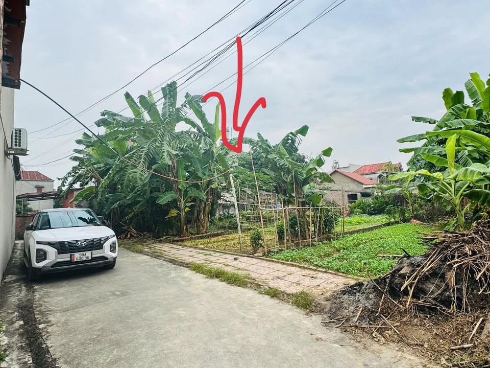 Đất nền Tân An Yên Dũng 117m² giá 800 triệu - Đầu tư sinh lời ngay!