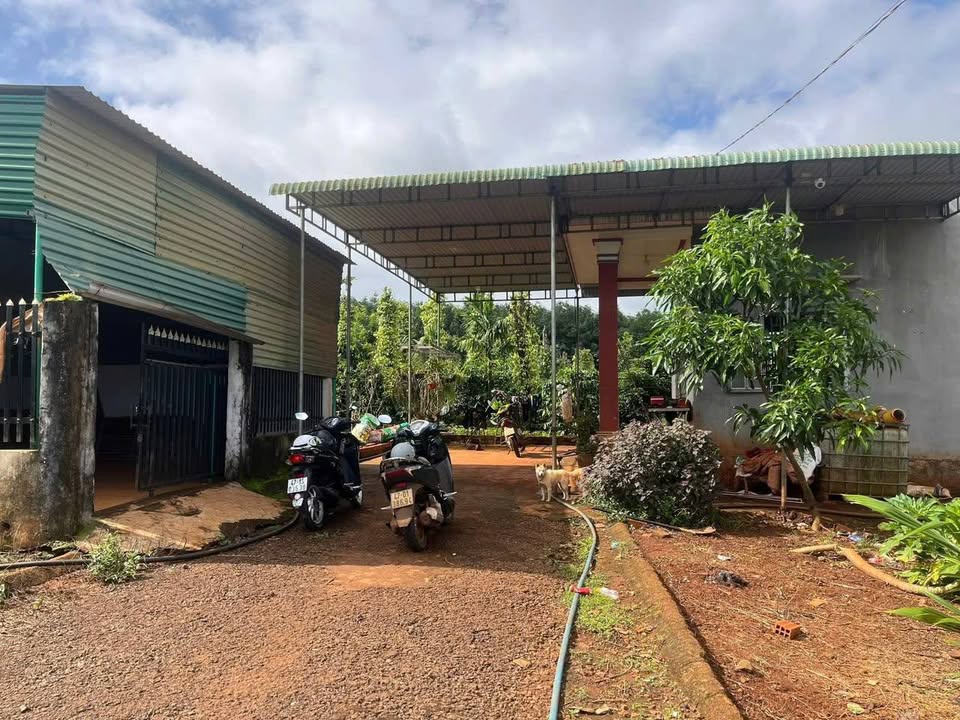 Nhà riêng thôn 2, Eahleo, Đắk Lắk 177.5m² giá 730 triệu - Sẵn sàng vào ở ngay!