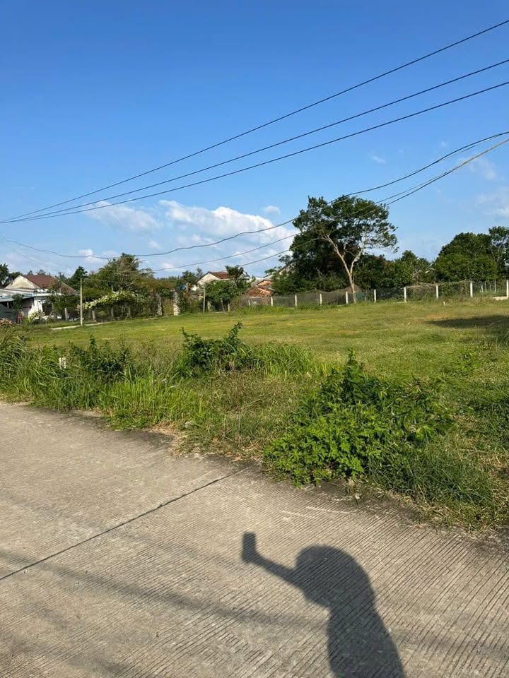 Đất thổ cư 100m² gần biển Đức Phong Mộ Đức giá 310 triệu - Cơ hội đầu tư tuyệt vời!