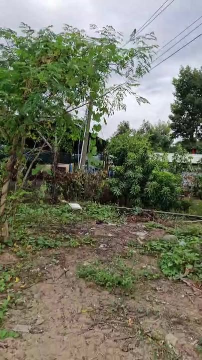 Đất nền thổ cư 405m² tại xã Long Khánh B, huyện Hồng Ngự - Mặt tiền đường rộng 22m, giá thỏa thuận!