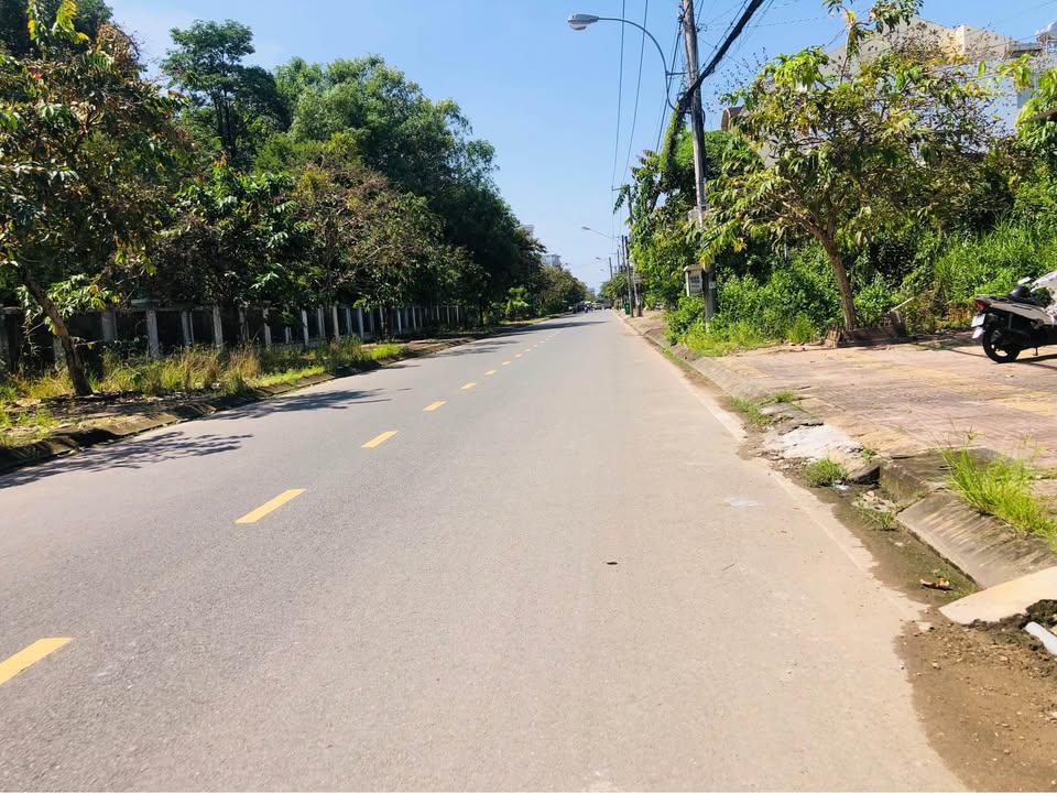 Đất nền Ngô Gia Tự, P.5, TP. Cà Mau 100m² - Vị trí đẹp, thổ cư 100%!