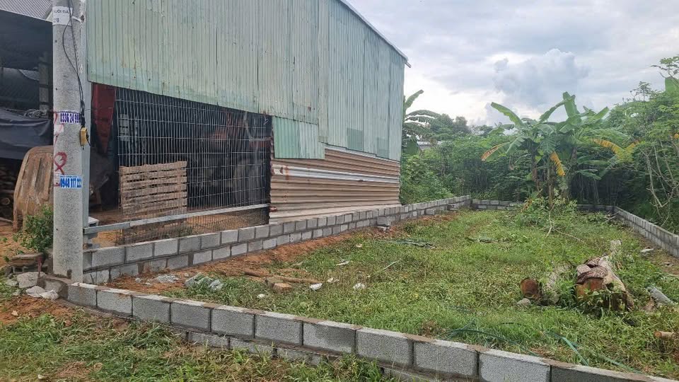 Đất nền Khu phố 12 Dương Đông, Phú Quốc 124m² giá chỉ 1.1 tỷ - Sổ hồng riêng chính chủ!