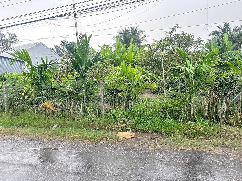 Bán nhà vườn ruộng 20219m² Hòa Bình Thạnh, Châu Thành - Giá chỉ 300 triệu