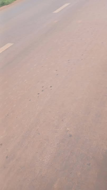 Đất nền Chư Prông 20m mặt tiền đường TL 675 - Giá chỉ 110 triệu/m²