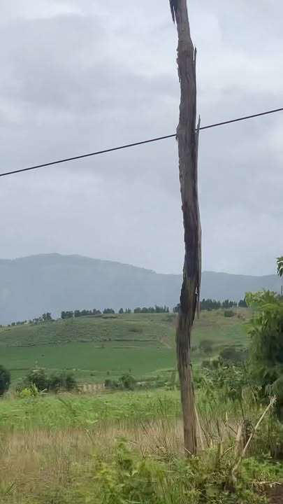 Lô đất 132m² tại xã Mang Yang, Gia Lai - Giá chỉ 1.25 tỷ, cơ hội đầu tư hấp dẫn!