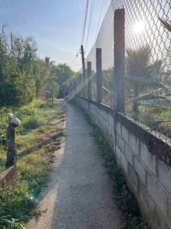 Đất nền Tân Khánh, TP. Tân An 100m² giá 388 triệu - Đầu tư sinh lời ngay!