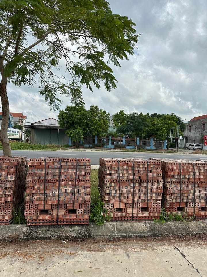 Đất mặt đường Kim Sơn, Khánh Nhạc, Ninh Bình 100m² - Đầu tư sinh lời cao!