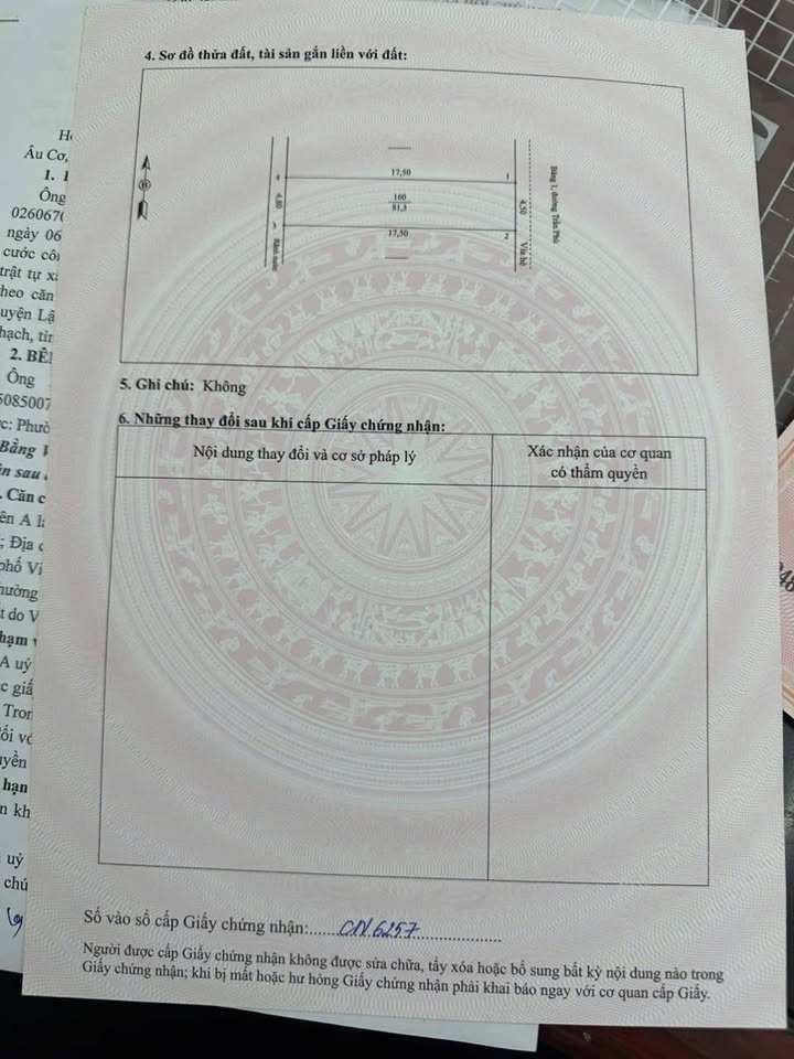 Đất nền Trần Phú, Việt Trì 81.3m² giá 7 tỷ - Kinh doanh sầm uất!