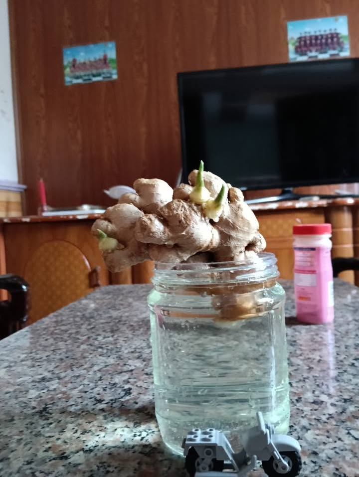 FrontHouse mặt tiền 13m đường Hàm Nghi 279m² giá 11.8 tỷ - Đầu tư sinh lời ngay!