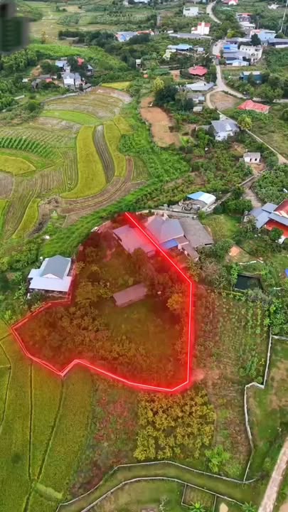 Đất Farm 11.000m² Nam Hòa - Đường Rộng, Tiềm Năng Đầu Tư Lớn!
