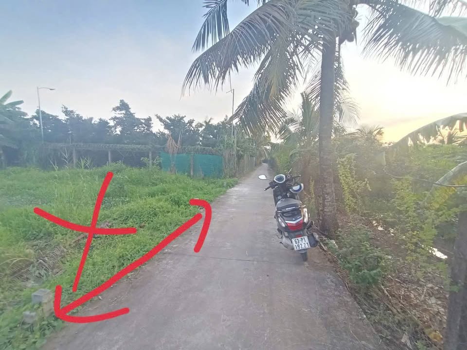 Đất nền Ấp Long Hưng, Mỹ Tho 72.24m² giá 450 triệu - Hướng Tây, tiện ích xung quanh đầy đủ!