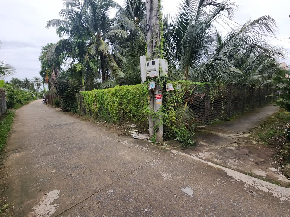 Đất thổ cư Mỹ Tho 52m² giá 395 triệu - Vị trí thuận lợi gần chùa Bà Tám!