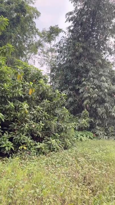 Đất Xóm Bãi - Xã Lương Nha 2130m² - View hồ cực đẹp, đầu tư sinh lời!