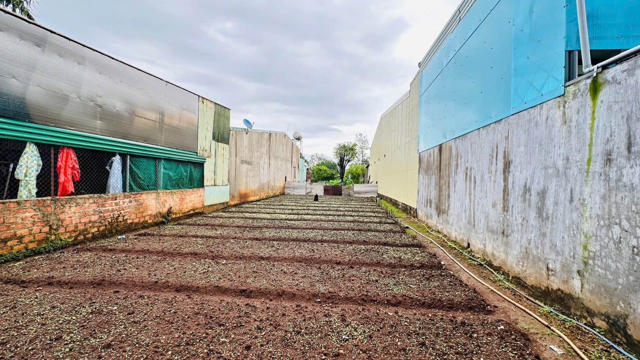 Đất hẻm chính Phạm Văn Đồng, pleiku 316m² giá 3.2 tỷ - Đầu tư sinh lời ngay!