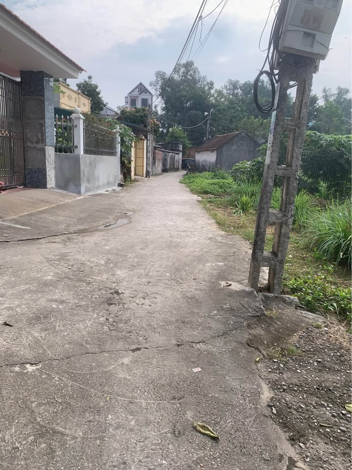 Đất lô góc 85m² Đào Viên, Bắc Ninh giá chỉ 1.3 tỷ - Sổ đỏ chính chủ