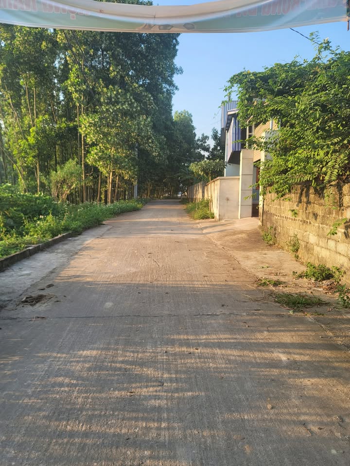 Đất thổ cư 100m² tại Hồng Tiến, Phổ Yên, Thái Nguyên 280m² - Chỉ 1.1 tỷ VND, đầu tư sinh lời!