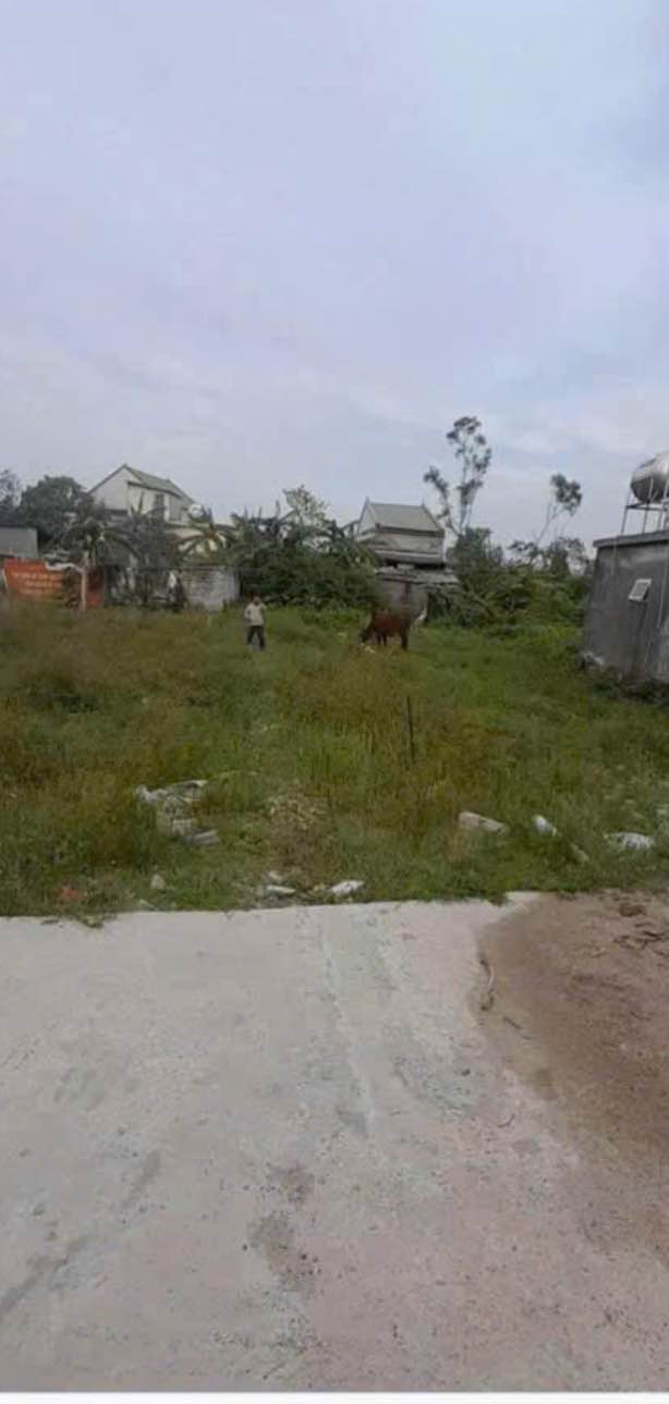 Đất ở Nghi Kim, 82m² giá chỉ 9xx triệu - Cơ hội đầu tư không thể bỏ qua!