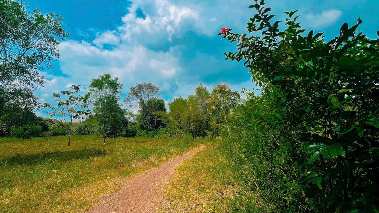 Đất nền mặt tiền 86m tại Thanh Phú, Bình Long - Giá 2.6 tỷ, đầu tư sinh lời ngay!