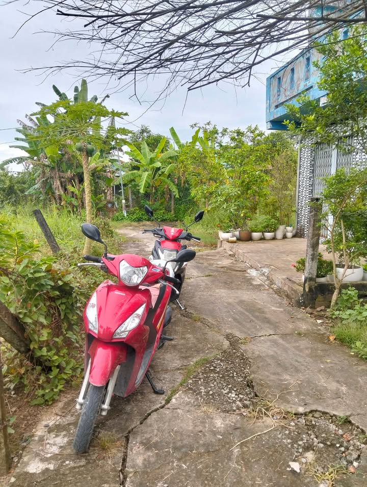 Đất thổ cư Mỹ Lộc Cần Giuộc 83m² giá 450 triệu - Sổ hồng riêng, xe ba gác vào tận nơi!