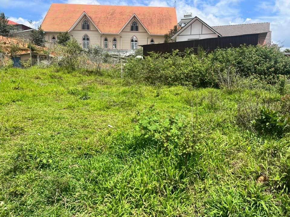 Đất nền đẹp tại Lạc Dương, Đà Lạt 550m² giá 7.999 tỷ - Đầu tư sinh lời tuyệt vời!