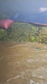 Đất nền Nam Phước Duy Xuyên 175m² - Giá tốt, sẵn sàng giao dịch!