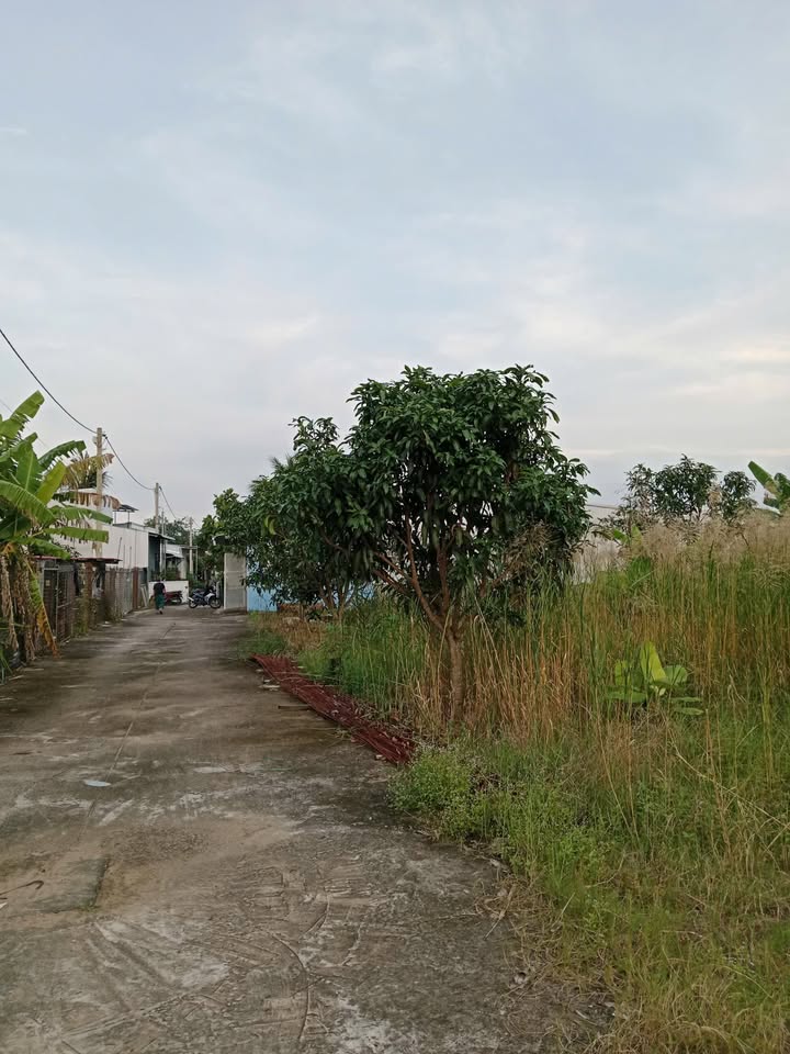 Đất hẻm Ngô Thì Sỹ 307m² giá 1.35 tỷ - Chính chủ bán gấp!