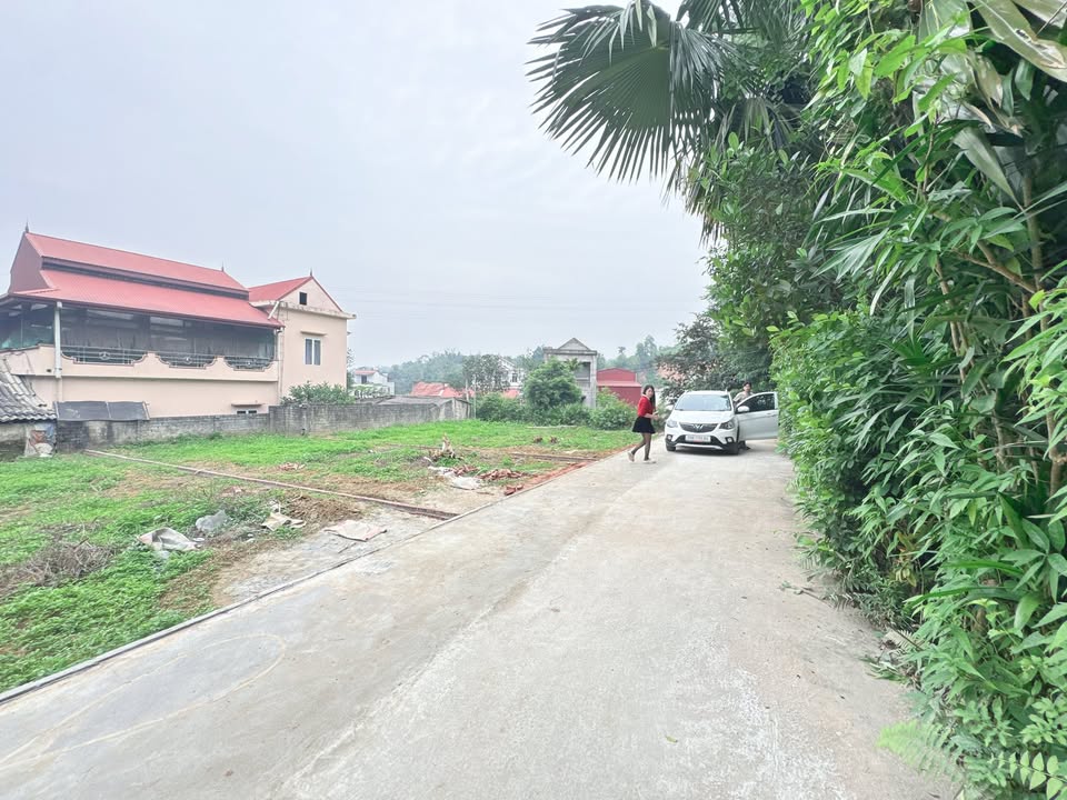 Đất nền Trạm Thản Phù Ninh 157m² giá 400 triệu - Đầu tư sinh lời ngay!