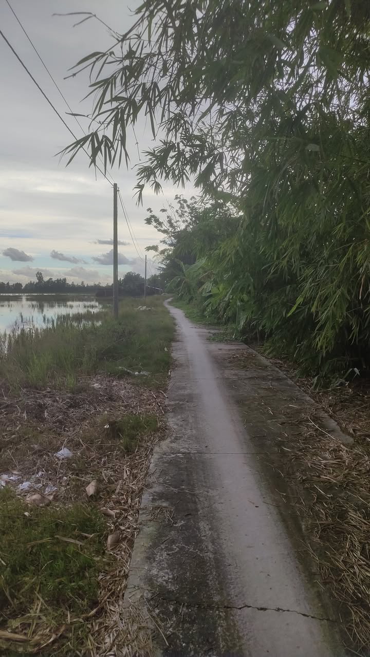 Đất ruộng 14.000m² xã Trường Xuân, Cần Thơ - Đầu tư sinh lời ngay!